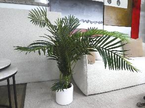 Lot 6