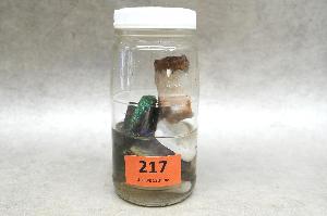 Lot 217